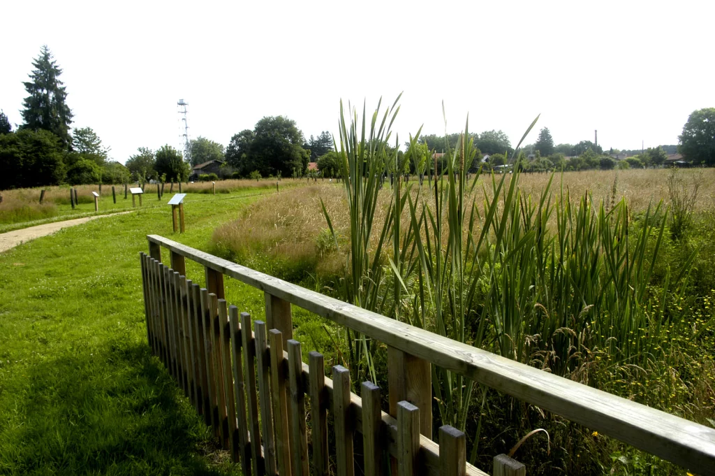 Arboretum