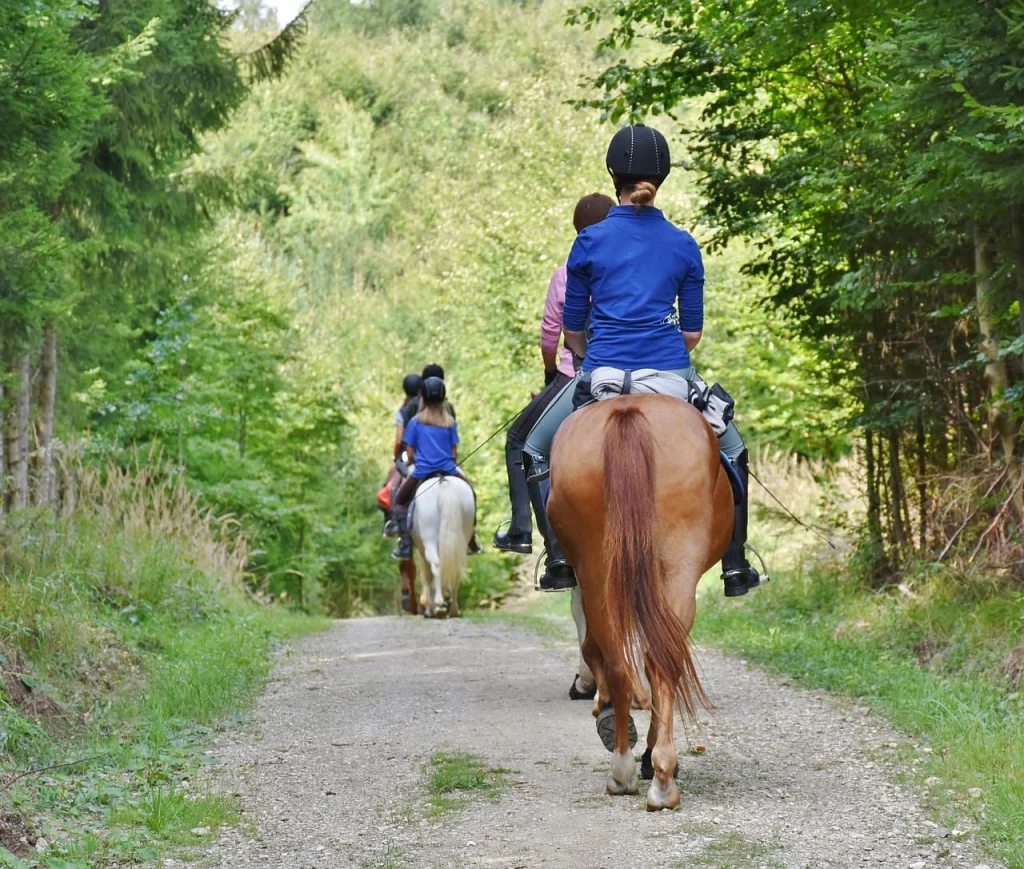 Activités ludiques et sportives Activités ludiques et sportives