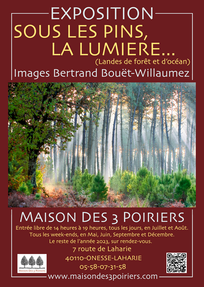 Maison des 3 Poiriers – Galerie de photographies de la forêt Landaise et de l’Océan.