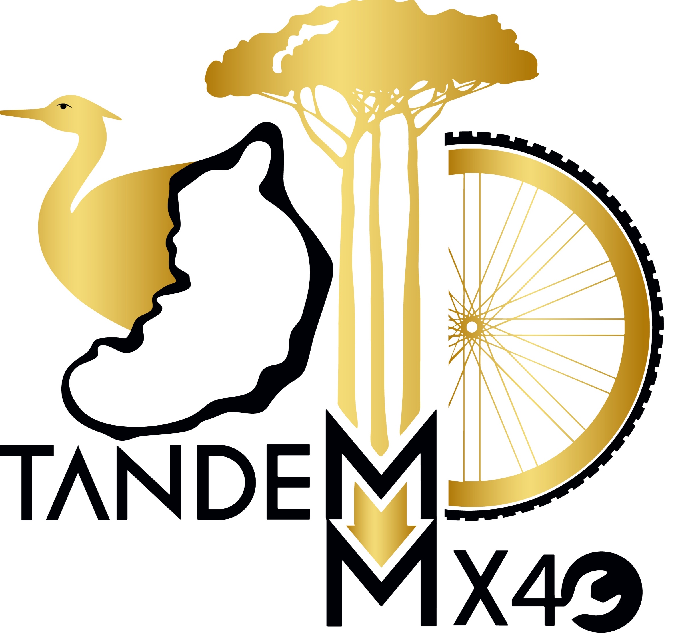 TANDEM MX40