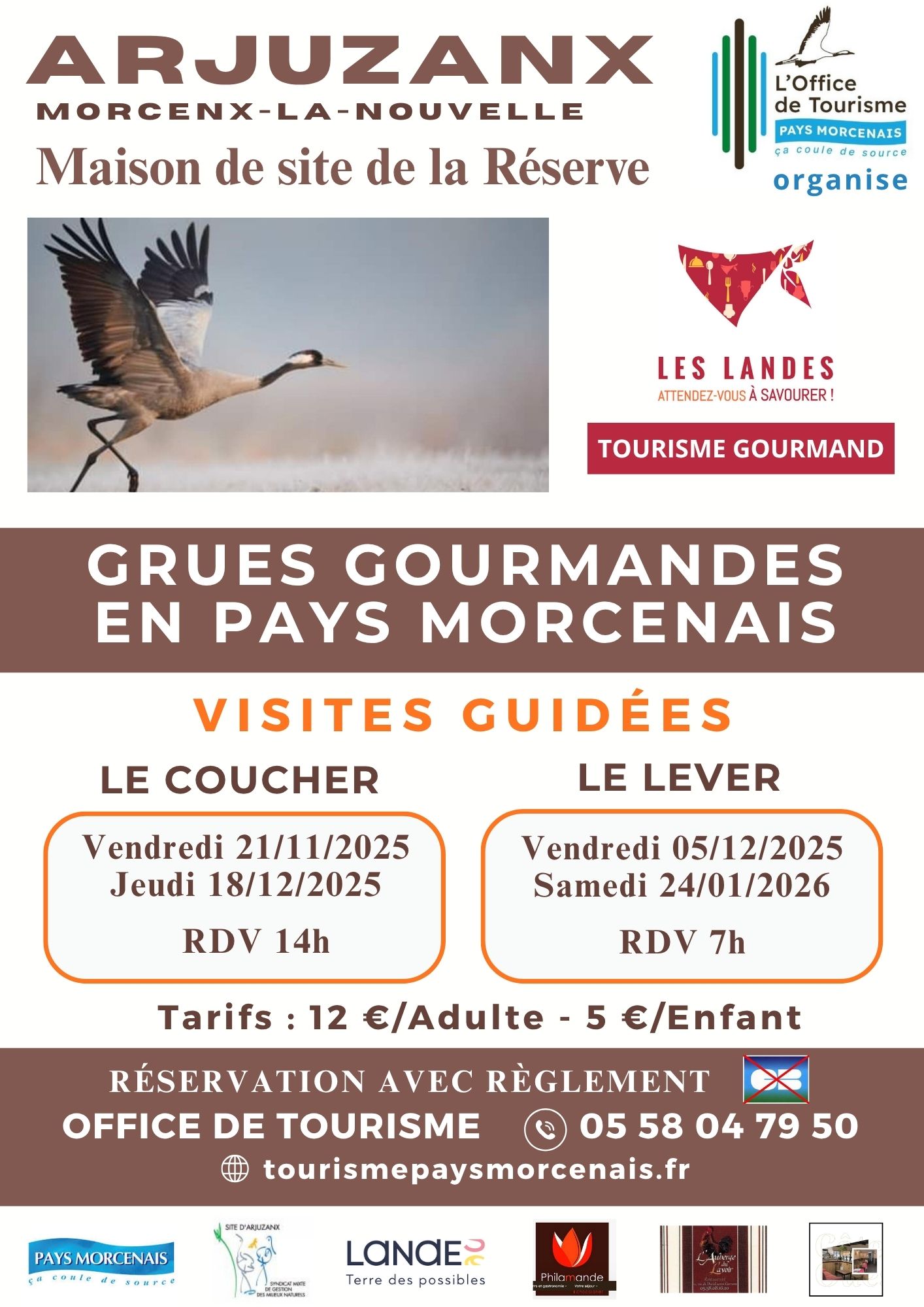Grues gourmandes en Pays Morcenais –                                               4 rendez-vous à la Maison de site d’Arjuzanx !