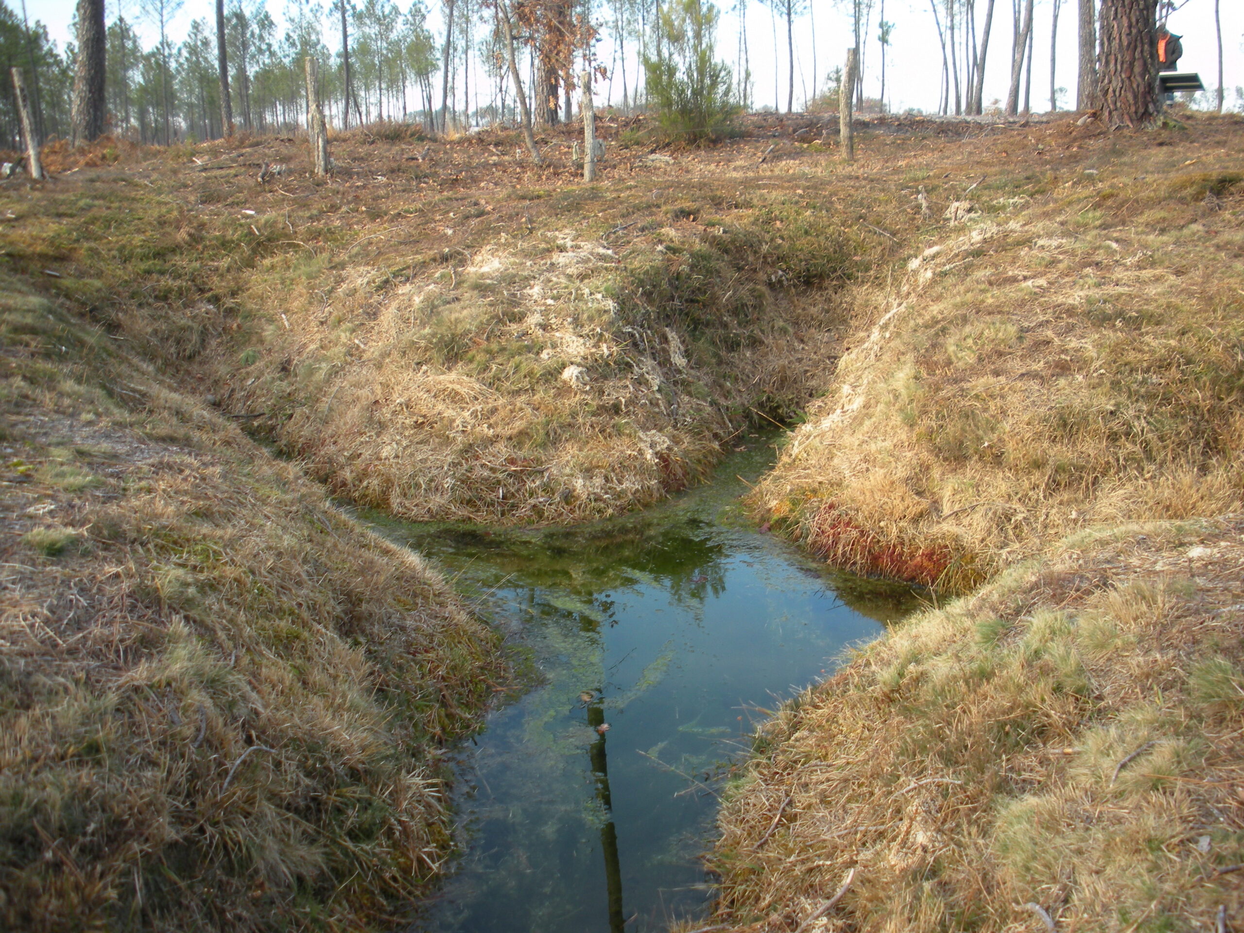 Circuit des sources en Pays Morcenais Ousse-Suzan Saint-Jean Baptiste