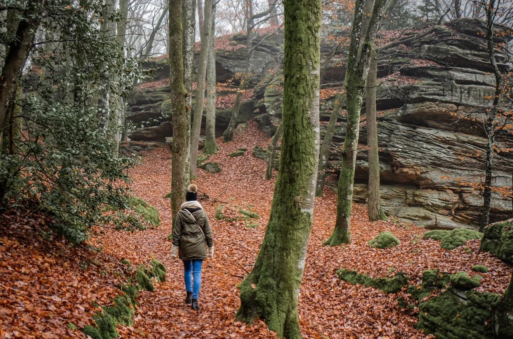 https://cdt33.media.tourinsoft.eu/upload/hiking-7667621-1280-2.jpg