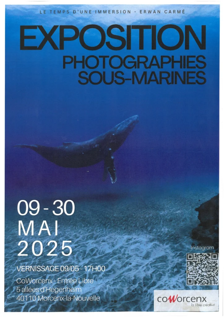 https://cdt40.media.tourinsoft.eu/upload/Exposition-photographies-sous-marines-Erwan-Carme---9---30-mai-2025.jpg