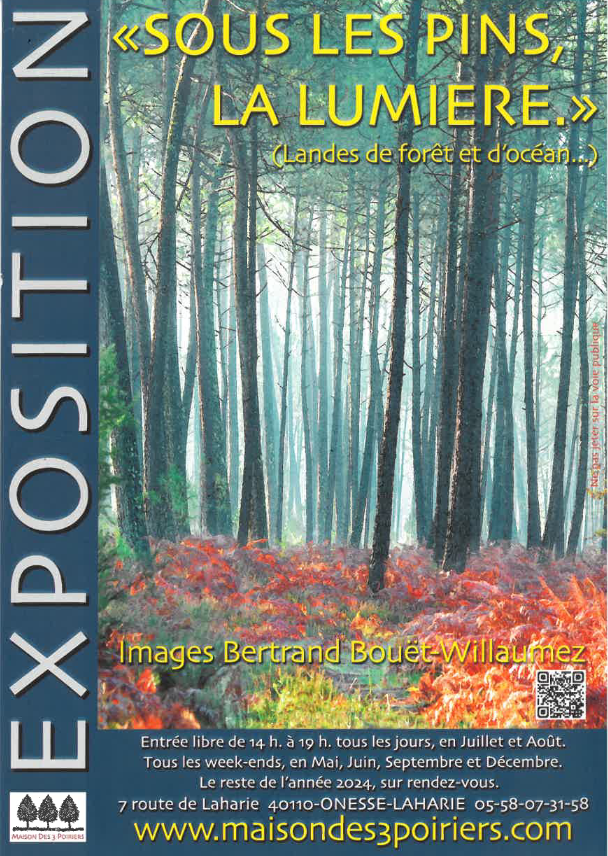 Maison des 3 Poiriers – Galerie de photographies de la forêt Landaise et de l’Océan.