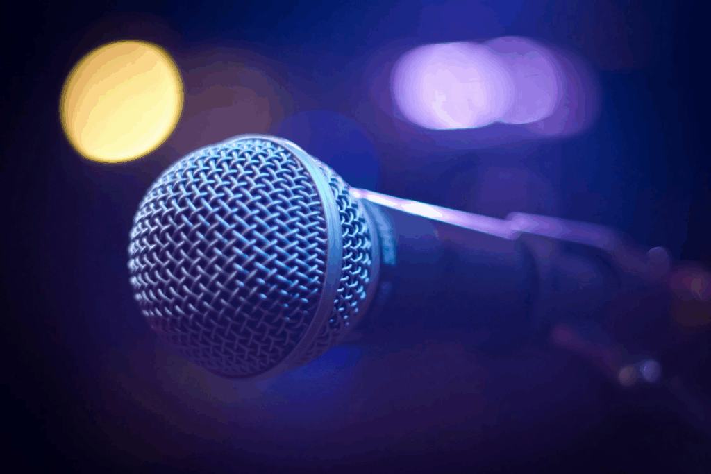 https://cdt40.media.tourinsoft.eu/upload/karaoke-1-.jpg