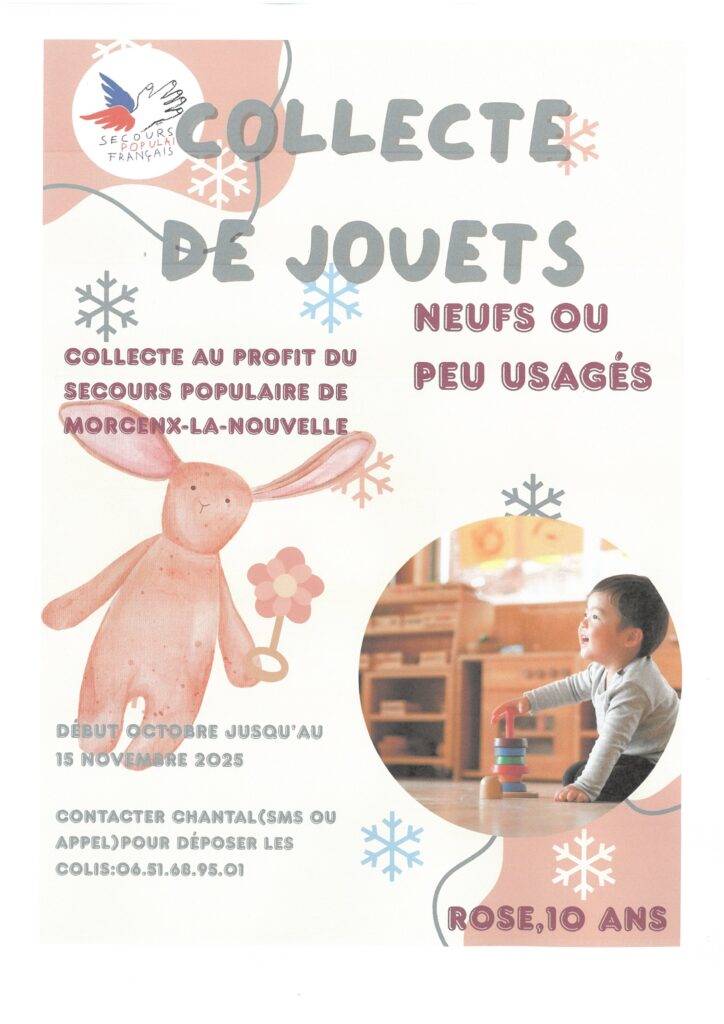 https://cdt40.media.tourinsoft.eu/upload/COllecte-de-jouets-du-01octobre-au-15-novembre.jpg