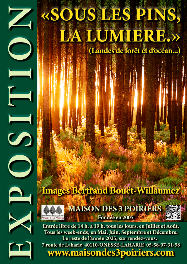 Maison des 3 Poiriers – Galerie de photographies de la forêt Landaise et de l’Océan.