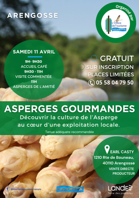 Les asperges gourmandes