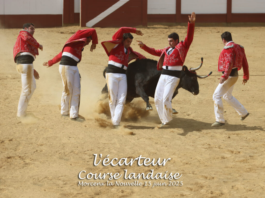 https://cdt64.media.tourinsoft.eu/upload/couse-landaise--paulvignier.jpg