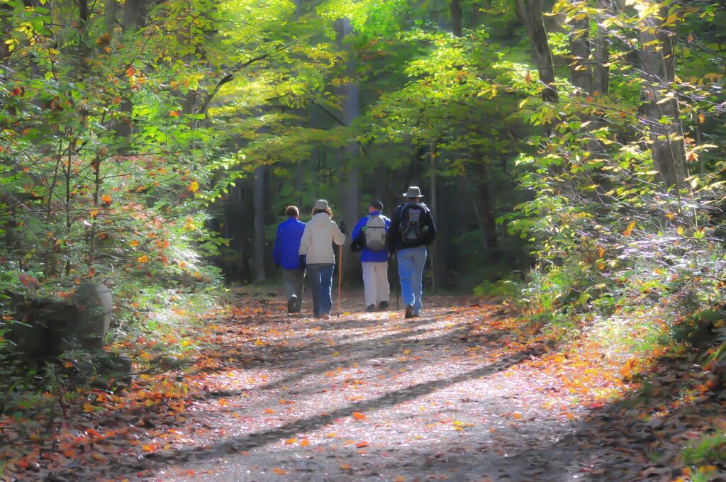 https://cdt64.media.tourinsoft.eu/upload/hiking-1232453-1280-8.jpg