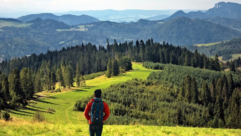 https://cdt64.media.tourinsoft.eu/upload/hiking-4369332-1280.jpg
