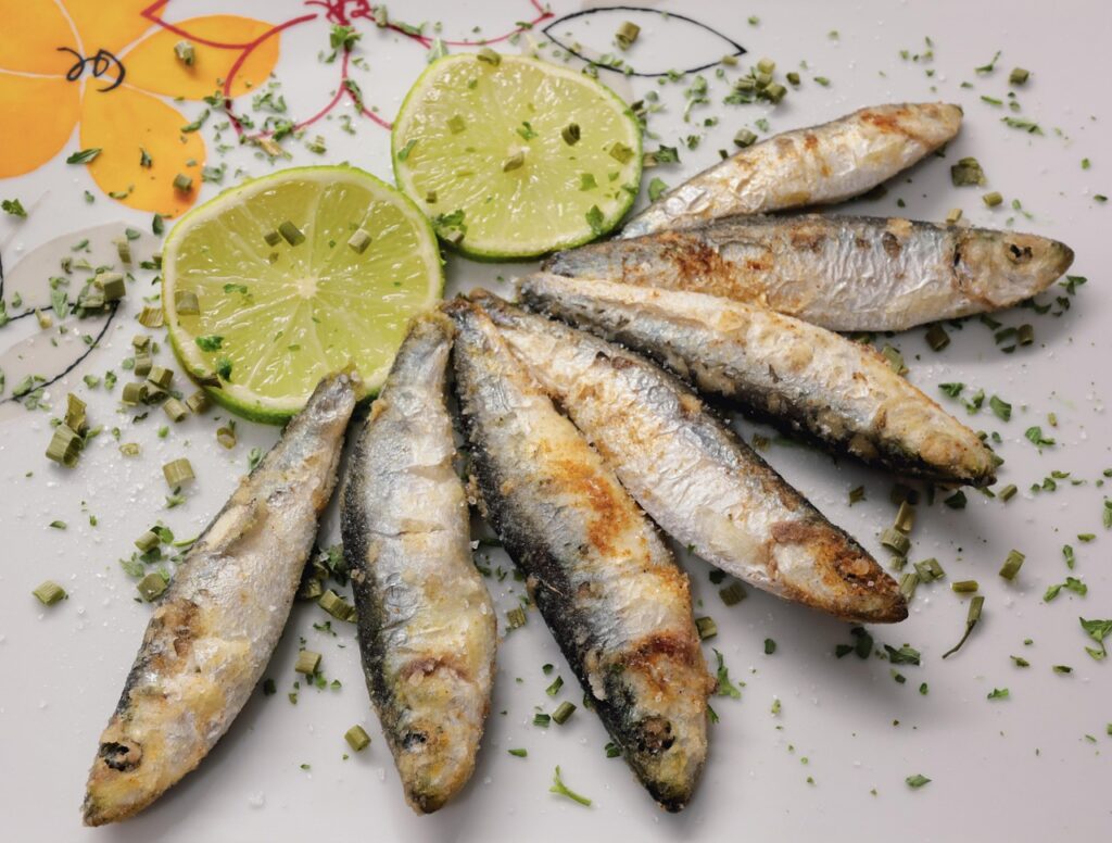 https://cdt64.media.tourinsoft.eu/upload/photoenduro-fish-6940144-1280.jpg