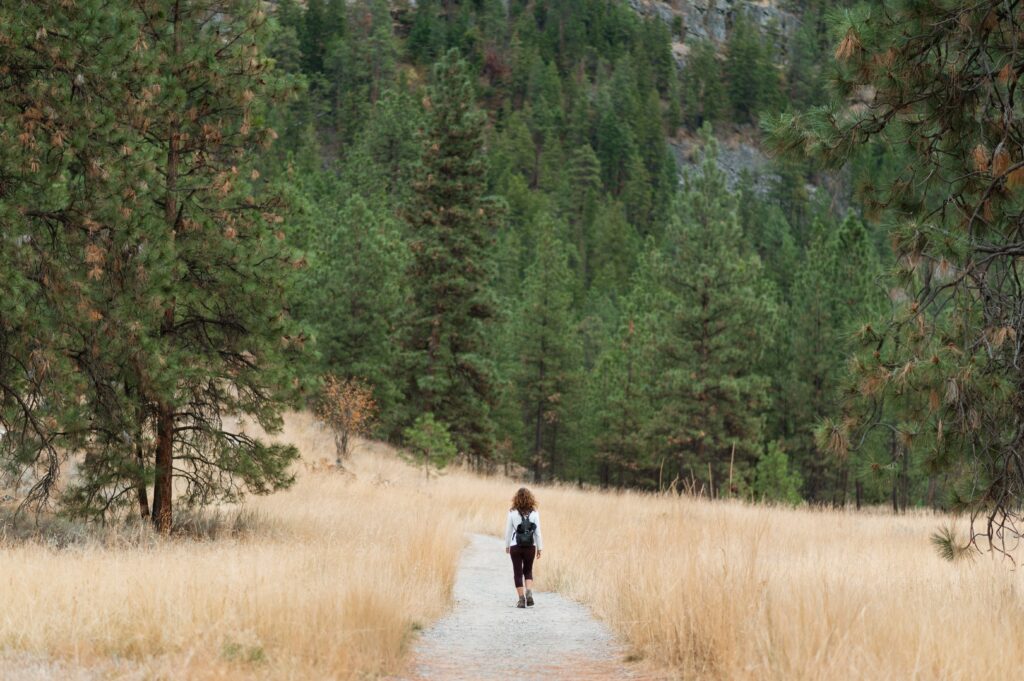 https://cdt64.media.tourinsoft.eu/upload/yinet-87-hiking-7890733.jpg