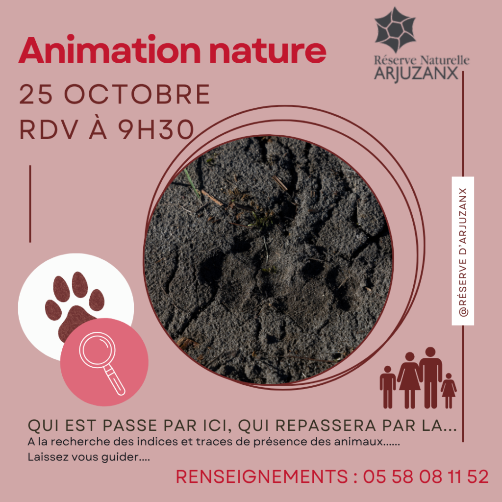 https://cdt64.media.tourinsoft.eu/upload/AFFICHE-ANIMATION-5.png
