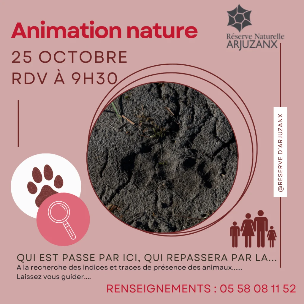 https://cdt64.media.tourinsoft.eu/upload/AFFICHE-ANIMATION-5.png