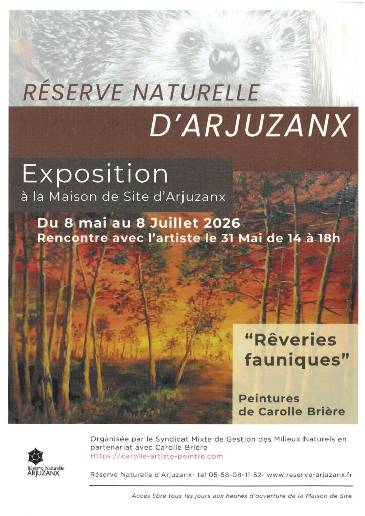 https://cdt64.media.tourinsoft.eu/upload/exposition-reverie-fauniques-08-05-2026-au-08-07-2026.jpg