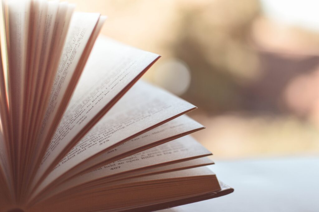 https://cdt64.media.tourinsoft.eu/upload/pexels-book-1283865-2.jpg