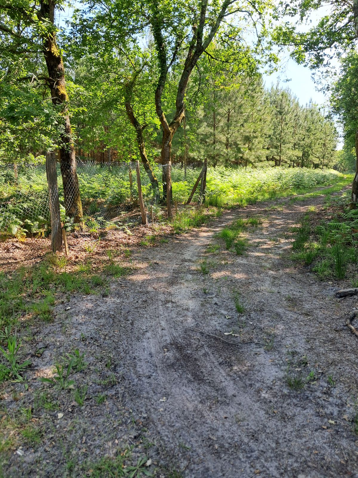 Morcenx en écorando – Circuit aux sources du Bez