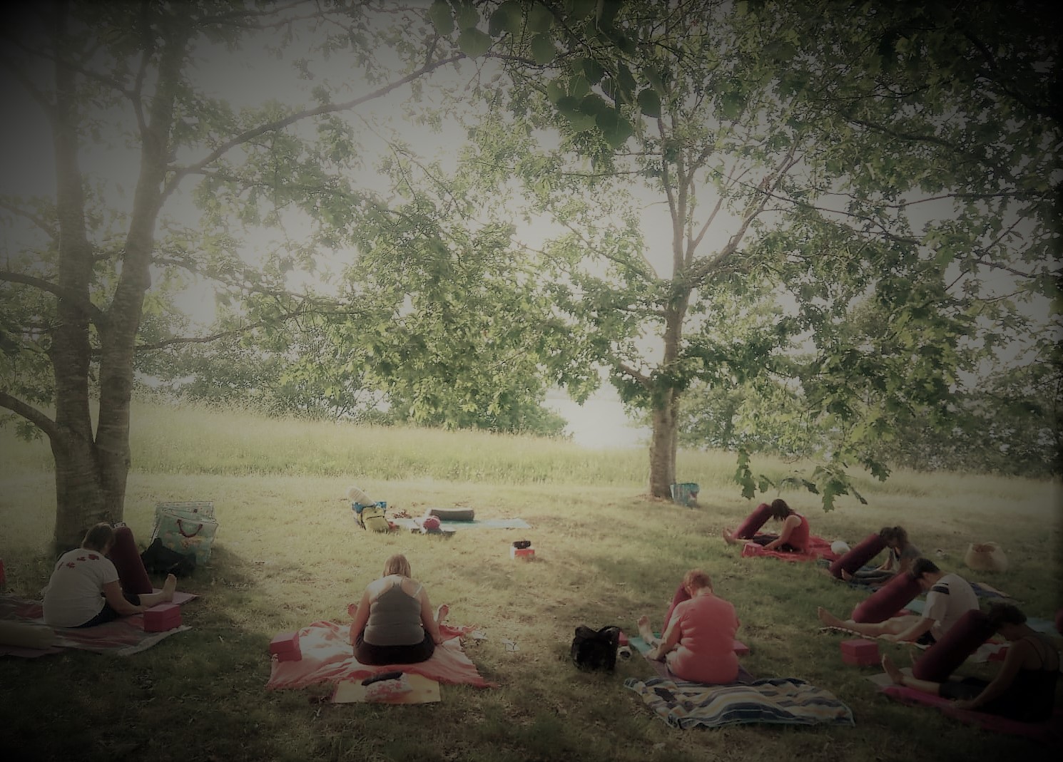 Yoga au lac d&rsquo;Arjuzanx