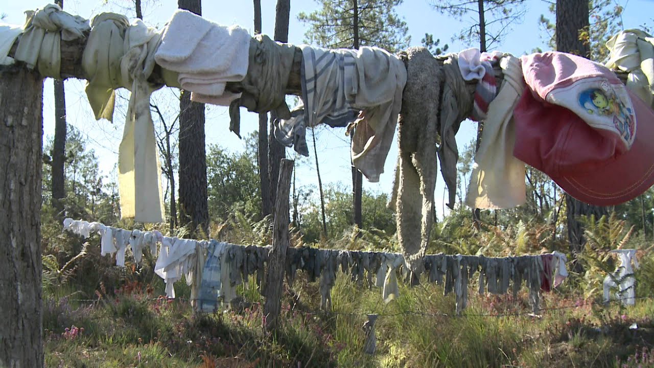 youtube placeholder image